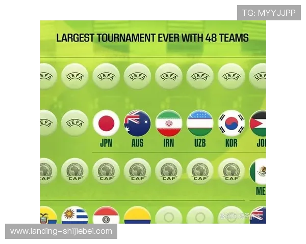 2026年世界杯入围国家的区域分布情况,哪些地区球队表现尤为突出