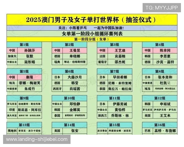 卡塔尔世界杯分组规则详解：如何确保公平合理的抽签流程分析