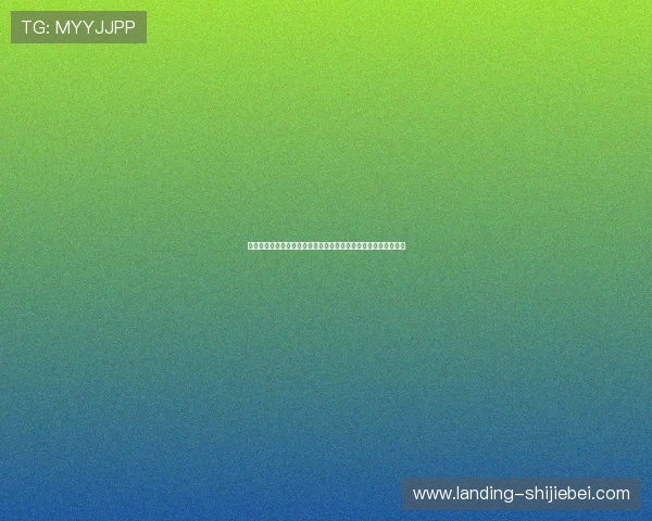 新西兰与比利时世界杯官方消息公布比赛安排及球队备战最新动态
